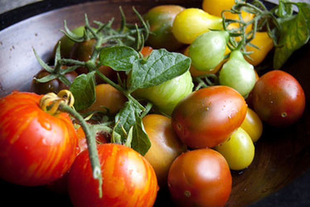 20130220025109tasteless-tomatoes-chemistry-web.jpg
