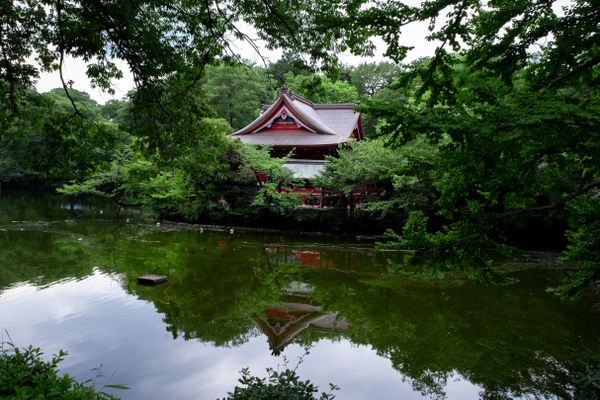 Tokyo Shrine thumbnail