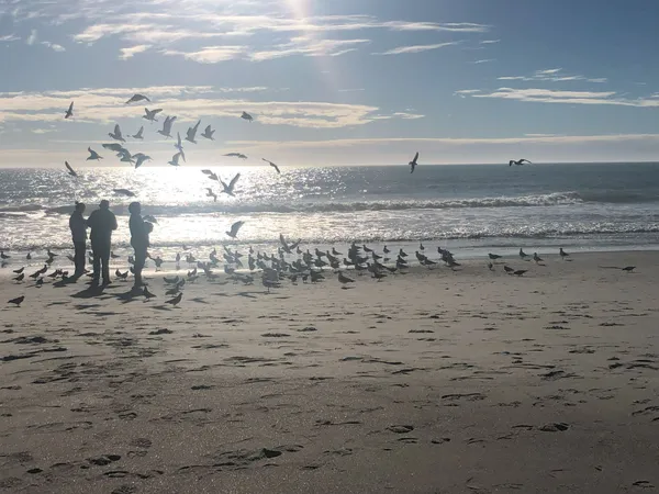 Breakfast on the beach. thumbnail