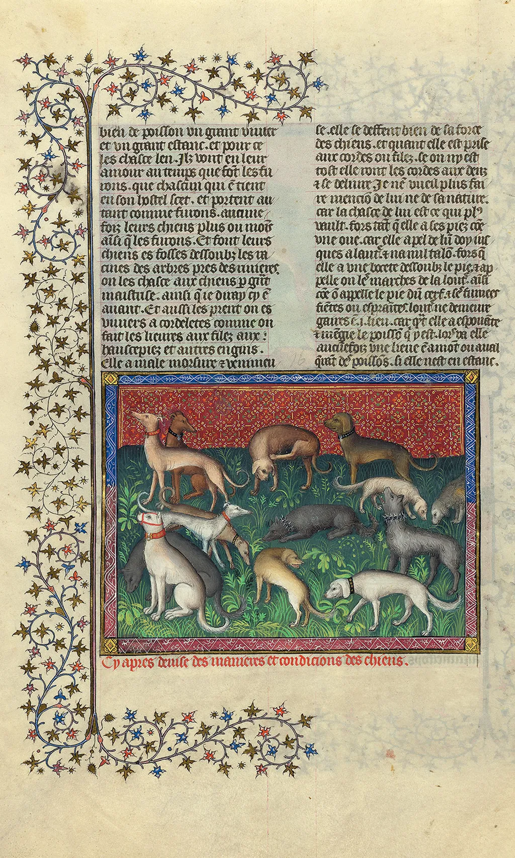 Depiction of hunting dogs in Gaston III's 14th-century Livre de la chasse