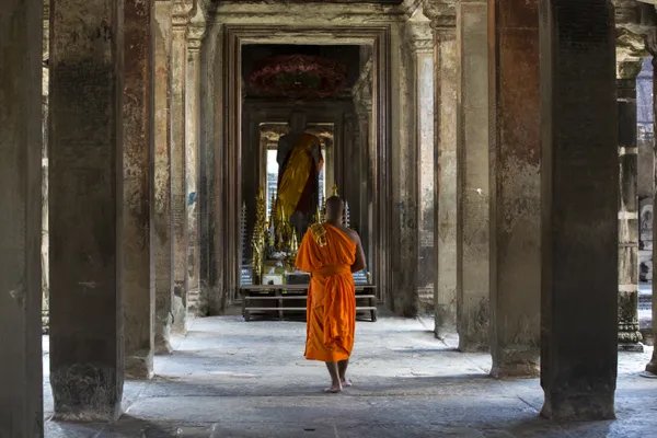 Buddhist monk in Angkor Wat, Cambodia. thumbnail