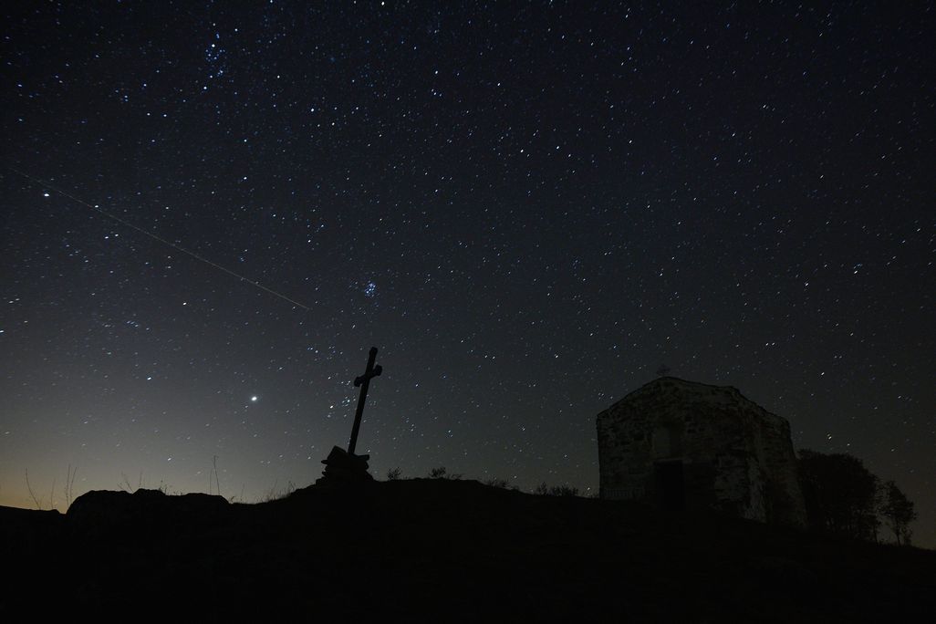 orionids