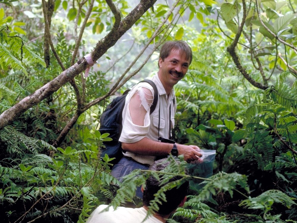 A man wearing a ripped white shirt stands among thick greenery, holding a plastic sample bag