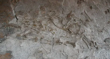 A view of the Dinosaur National Monument quarry before it closed for renovations in 2006