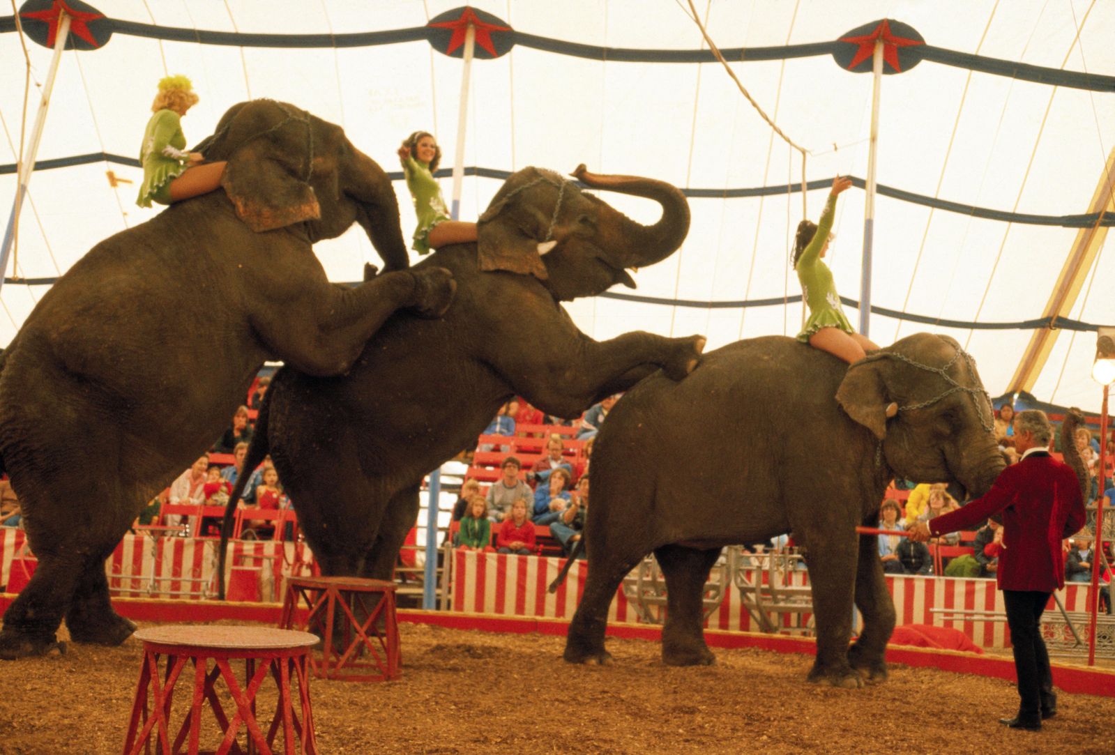 Ringling Brothers Is Phasing Out Its Elephant Act | Smart News| Smithsonian  Magazine