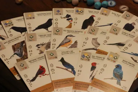 Expansion packs featuring birds of every continent are currently in the works