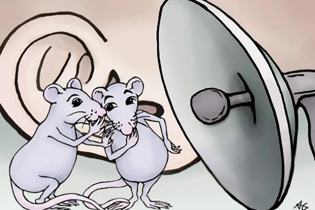 deepsqueak_illo.jpg