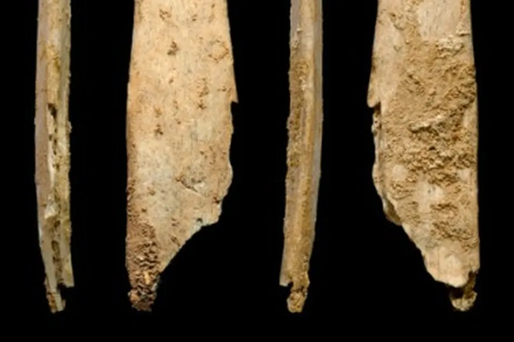 Four angles on the same preserved lissoir.