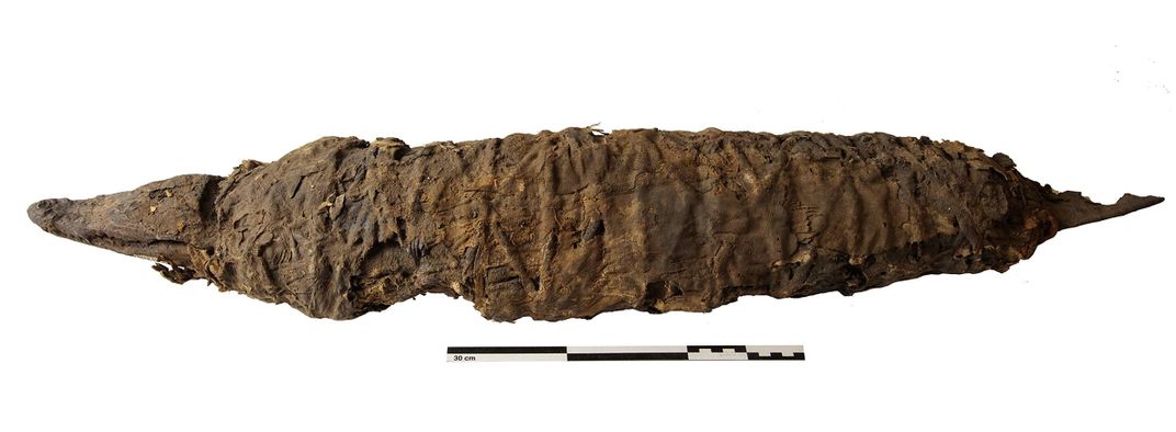 Ancient Egyptians Hunted, Then Mummified, Crocodiles