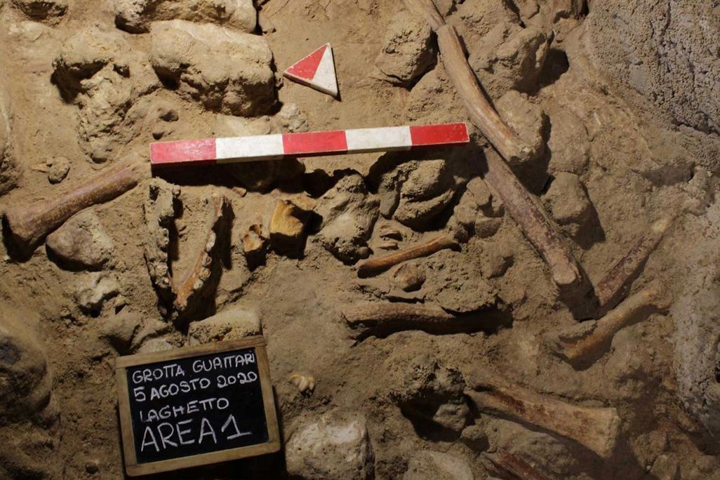 Fossilized Neanderthal remains found in an Italian cave