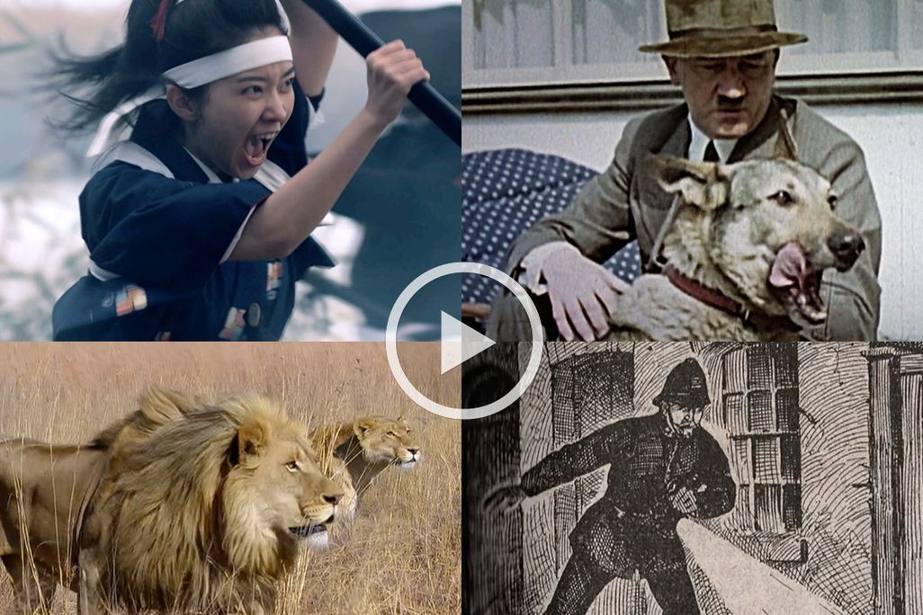 Top-10-Videos-2015-Graphic.jpg