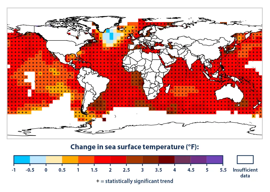 A map showing ocean surface temperatures worldwide