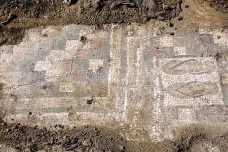The flip-flop mosaic decorated the floor of a cold pool room in the villa&#39;s bath complex.