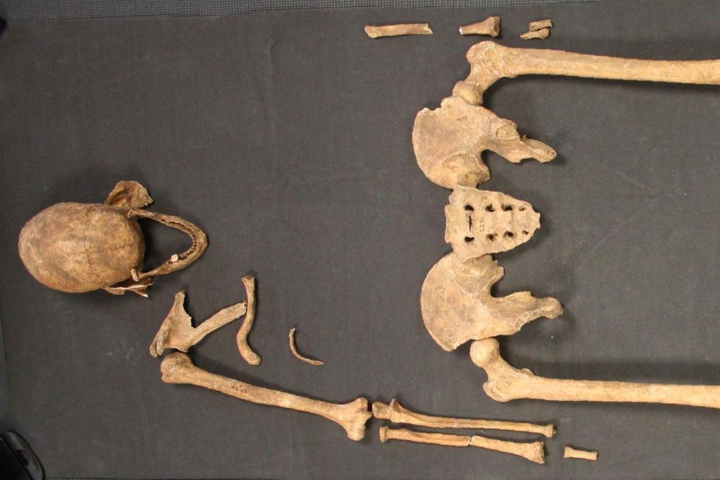 Great Chesterford skeleton