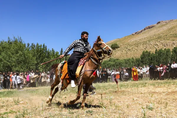 A Rooted Competition in the Heart of Nature thumbnail