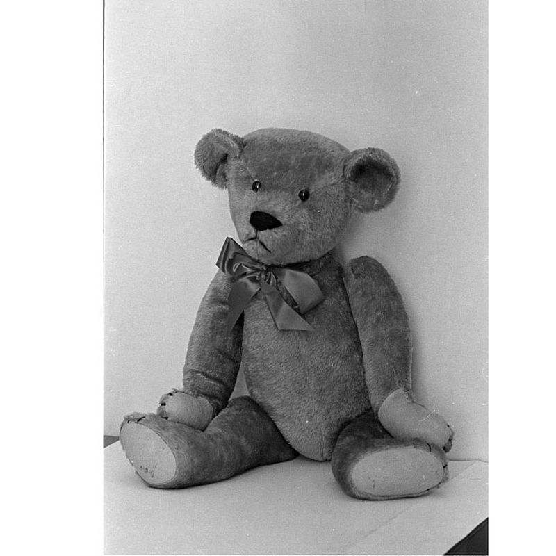 On this day in history, Feb. 15, 1903, the first Teddy bear goes