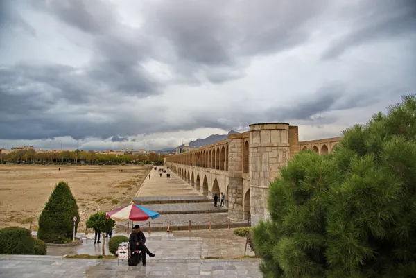 Hoping for a drop of rain thumbnail