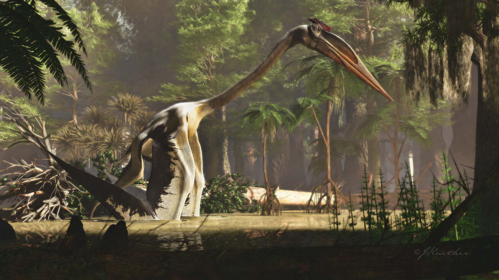 This Giraffe-Sized Reptile Was the Largest Flying Creature to Ever Live |  Smart News| Smithsonian Magazine