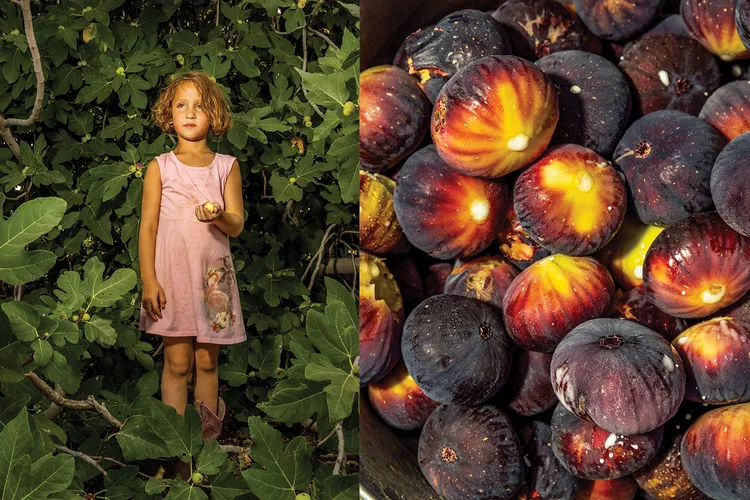 diptych of a child in a tree and then a bowl of figs