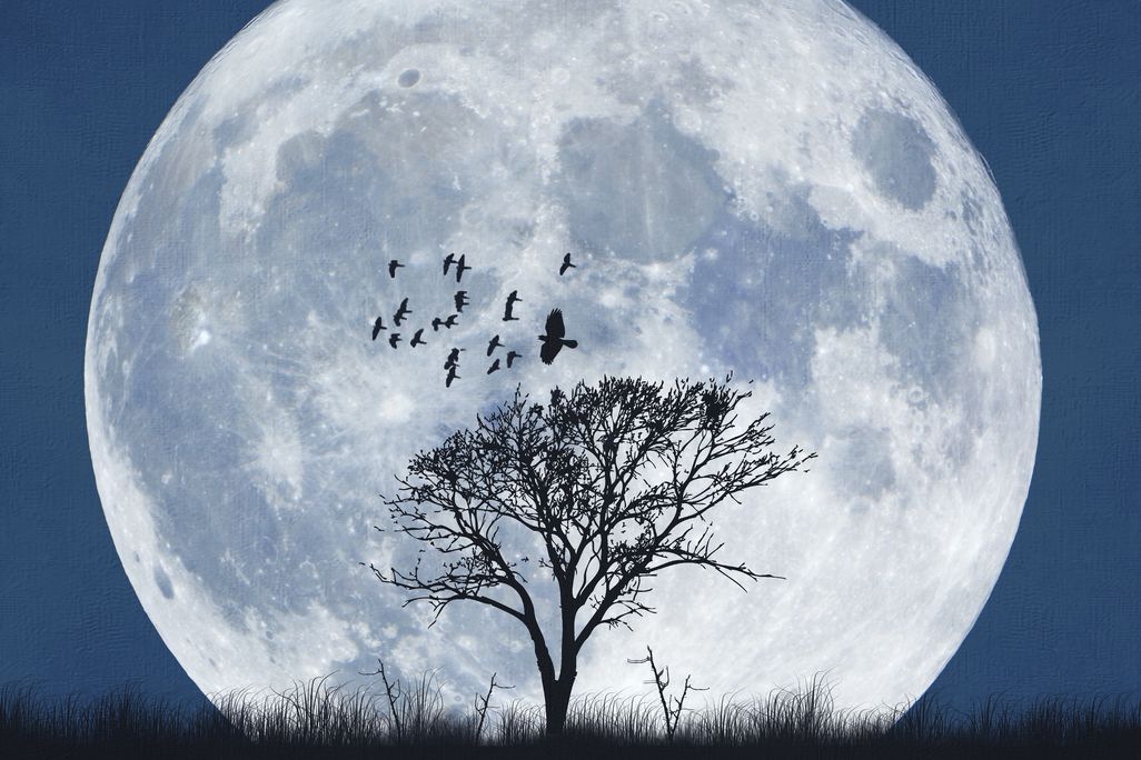 Moon