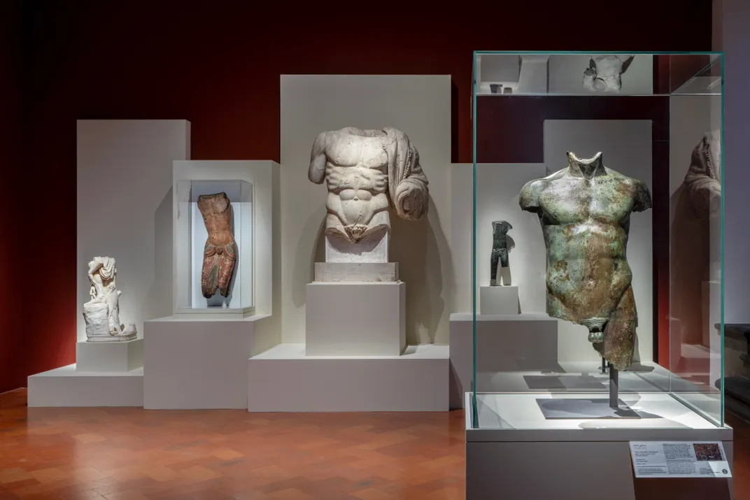 torso