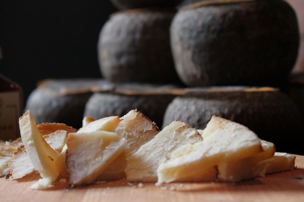 Cheese