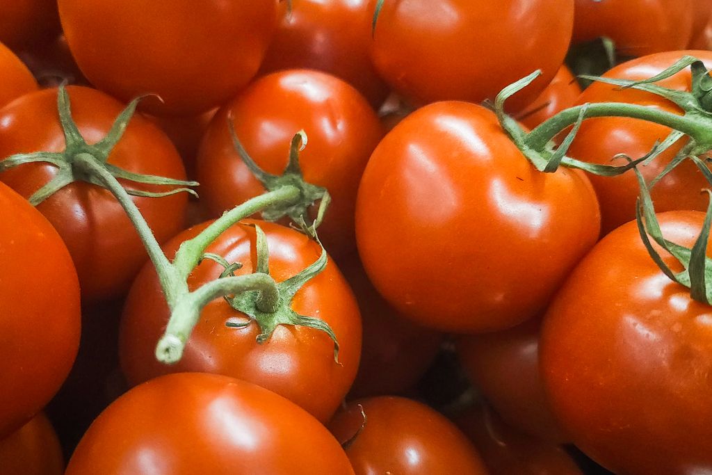 Arranged tomatoes in Edmonton