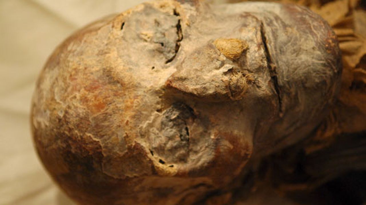 Digging up Egypt's Treasures