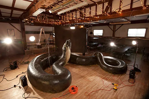 How Titanoboa, the 40-Foot-Long Snake, Was Found