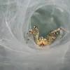 Getting Annoyed at Your Noisy Neighbor? Spiders Are, Too. New Research Finds They'll Build Webs Differently in Loud Conditions icon