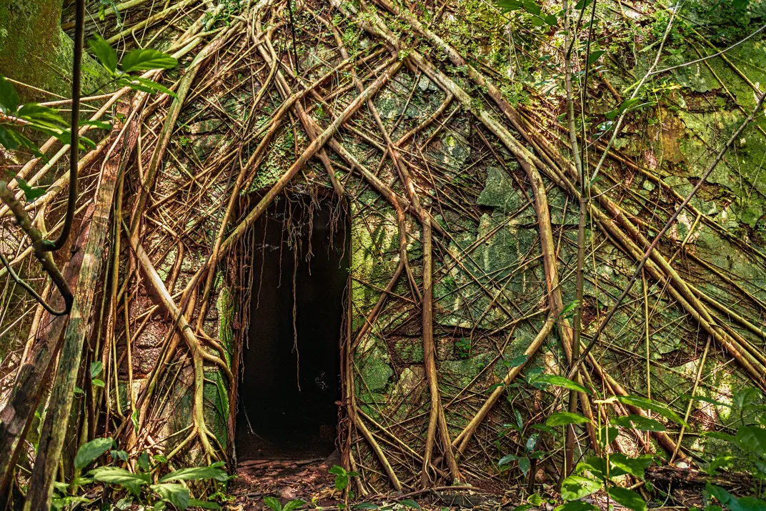 An image of an abandoned house in Goa, India with plants and branches covering the walls.