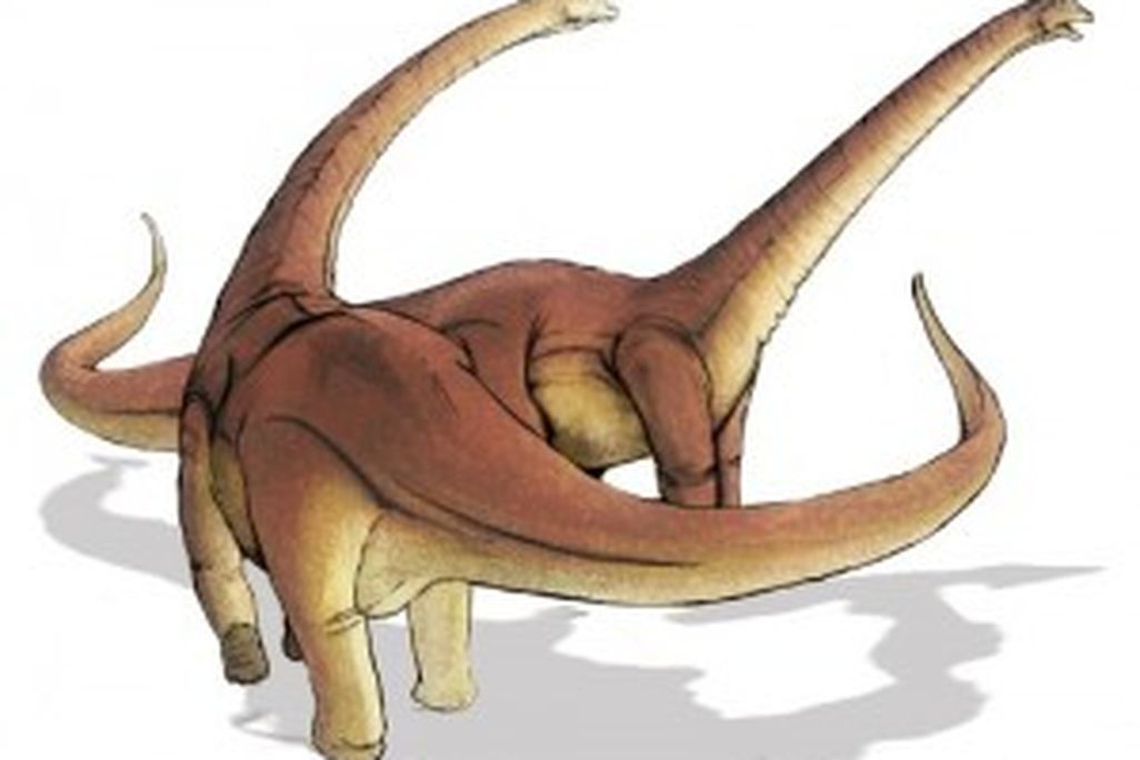 20110520083121alamosaurus-sauropod-dinosaur-300x237.jpg