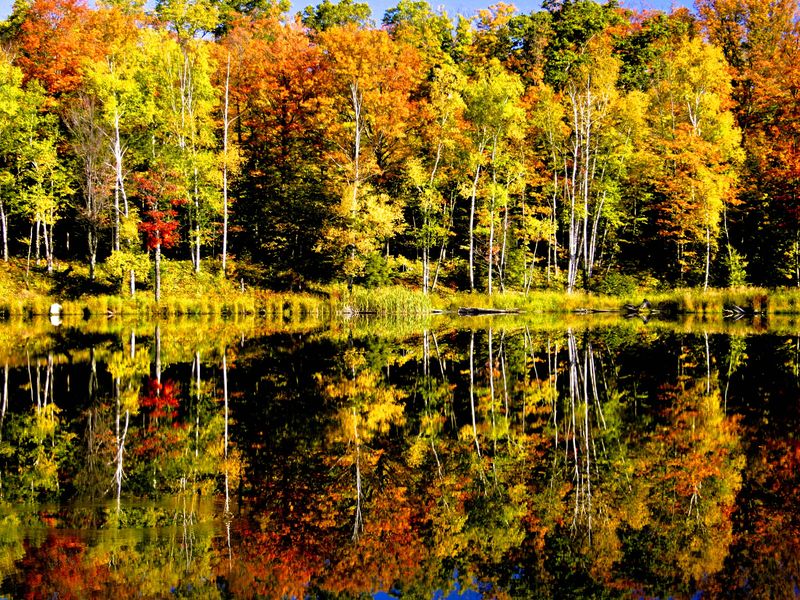 Reflected fall foliage in Michigan's Upper Peninsula Smithsonian