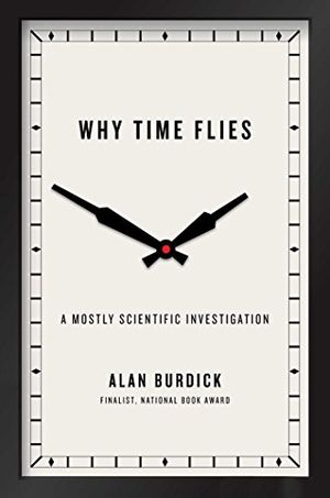 Preview thumbnail for 'Why Time Flies: A Mostly Scientific Investigation