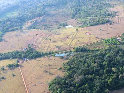 Mysterious Shapes Hidden Beneath the Amazon Canopy Reveal a Sprawling Ancient Civilization Much Bigger Than Researchers Expected image