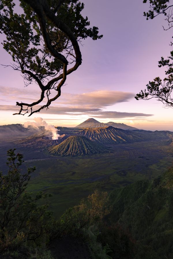 A View of Fire and Dawn thumbnail