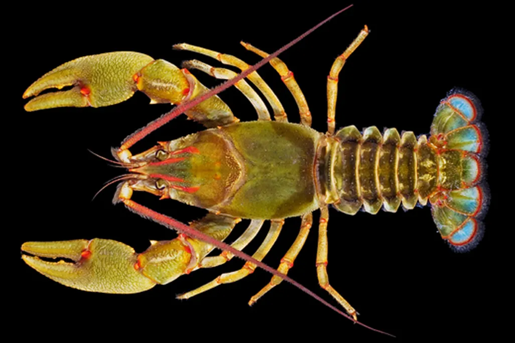 2011052010242928864.jpg