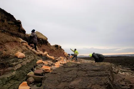 Volunteers have placed sandbags along the beach in hopes of preventing further flooding.