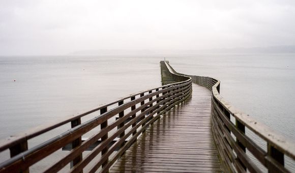 The Indianola dock stretches out into the Puget Sound. Since time immemorial, the Suquamish Tribe has sourced their sustenance, folklore, and community from the salt waters and pebbly beaches of the sound.

Photo by Julian White-Davis