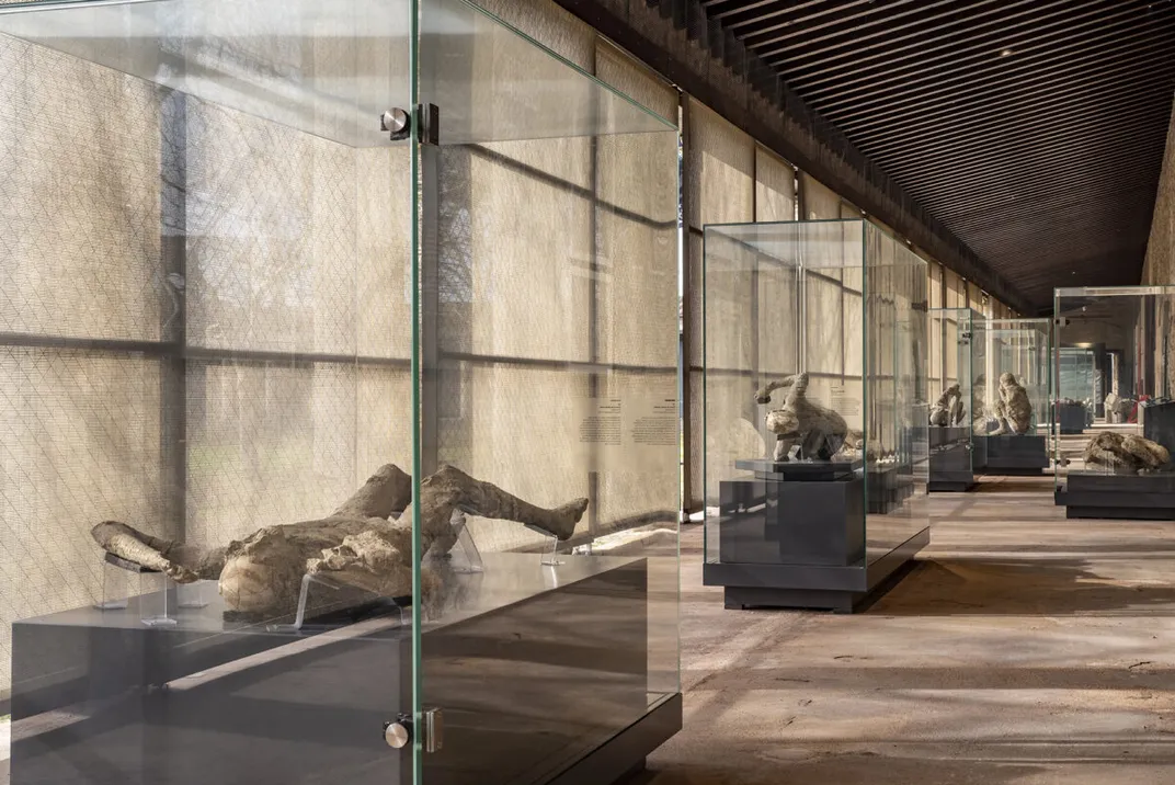 Plaster casts on display