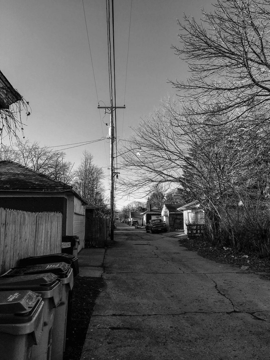 Alley, Sherman Park, Milwaukee Smithsonian Photo Contest