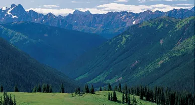 Paciofic Crest Trail