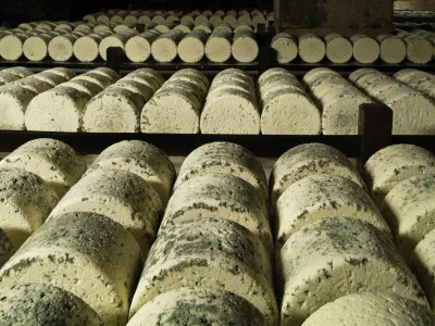 To make true Roquefort cheese, the law requires that it must be produced from local ingredients and ripen for months in a cave in southern France.&nbsp;