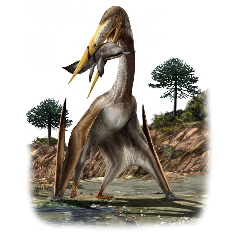 Unique Bone Structure Helped Long-Necked Pterosaurs Fly, Smart News