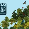Bird Friendly