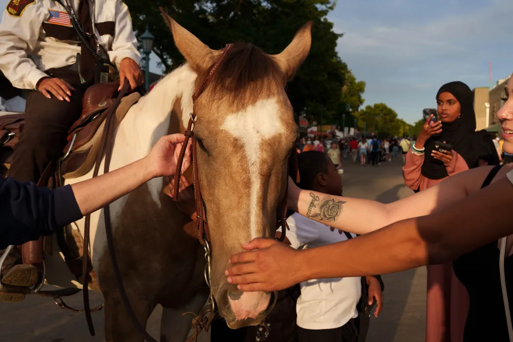 A horse at the Minnesota State Fair receives attention and affection from visitors.
