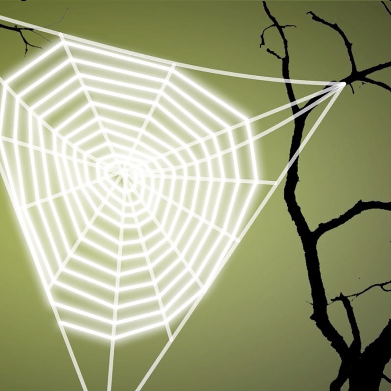 Ask Smithsonian: How Do Spiders Make Their Webs?