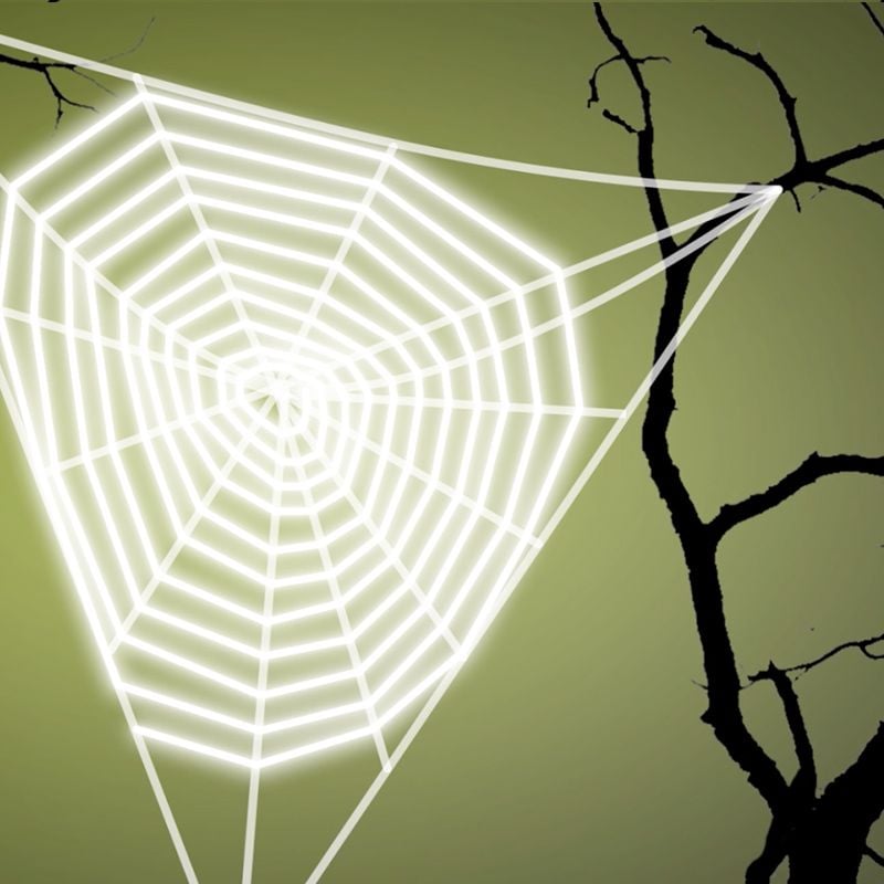 Ask Smithsonian: How Do Spiders Make Their Webs?, At the Smithsonian