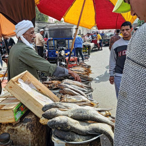 Selling salted fish at Cairo flea market thumbnail