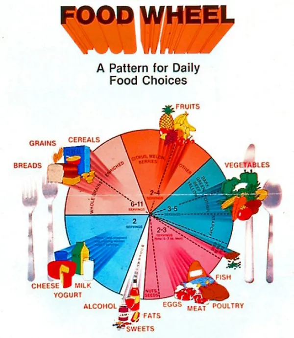 MyPlate Meal-Wheel